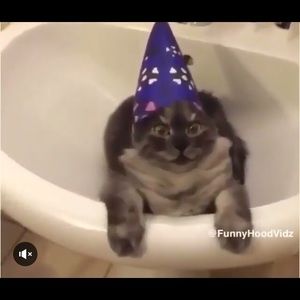 Meet your Posher, Kacie